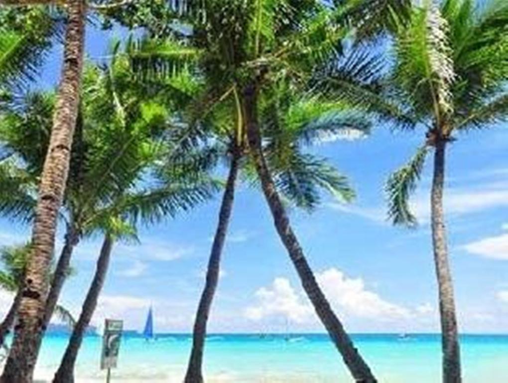 Boracay Coco Huts Hotell Balabag  Exteriör bild